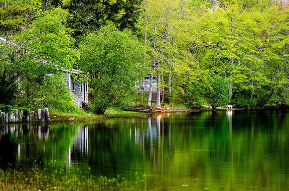 Photograph of Big Sandy Pond on Cape Cod with green trees and reflection on the water