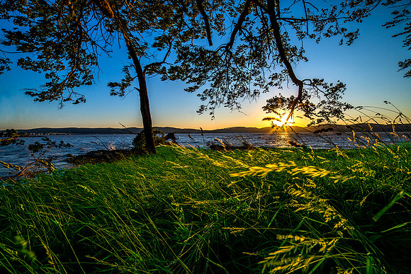 Photograph of sunset in the sky along the Hudson River in Sleepy Hollow, New York State Hudson Valley with swaying trees and grass in the wind